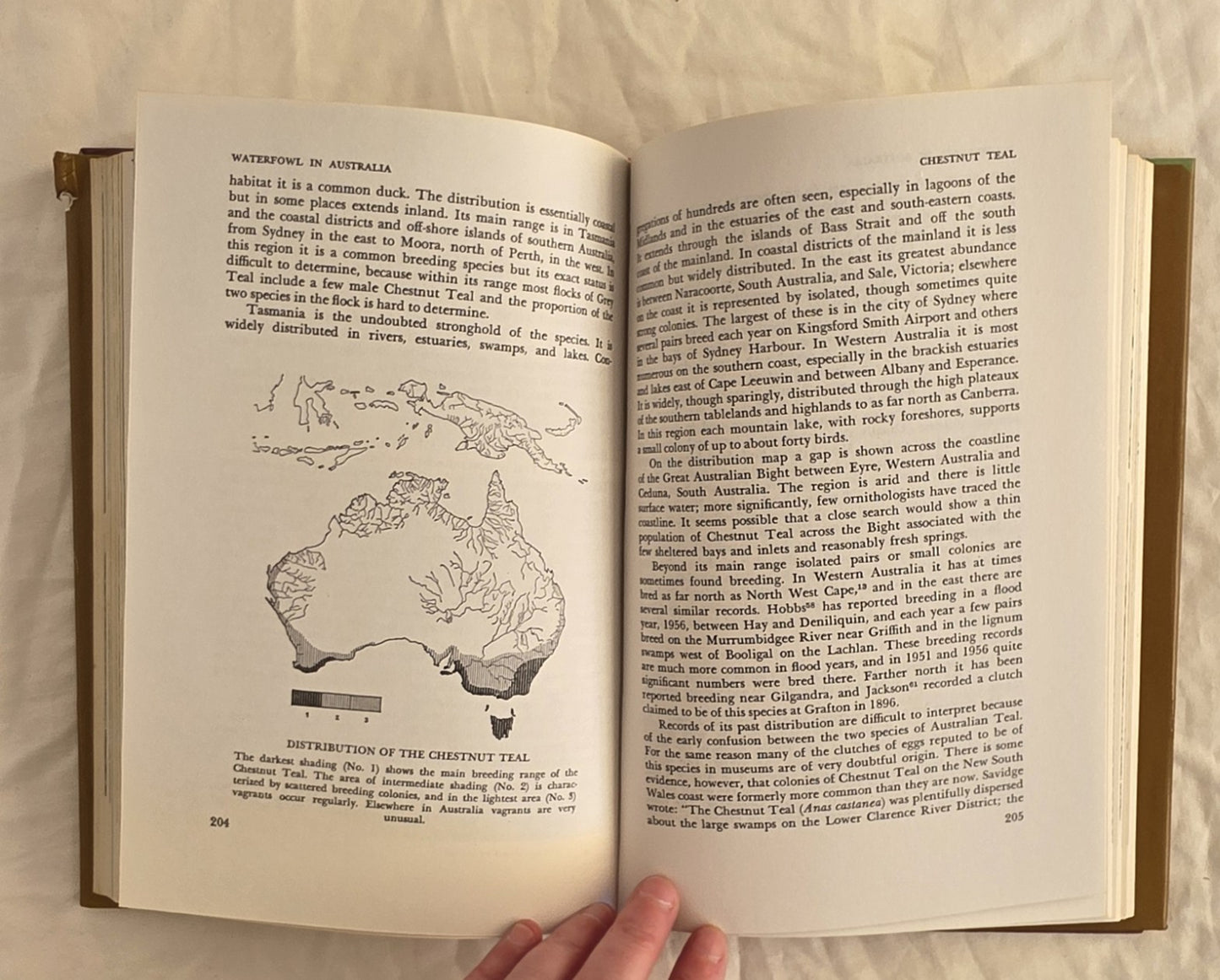 Waterfowl in Australia by H. J. Firth