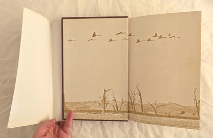 Waterfowl in Australia by H. J. Firth