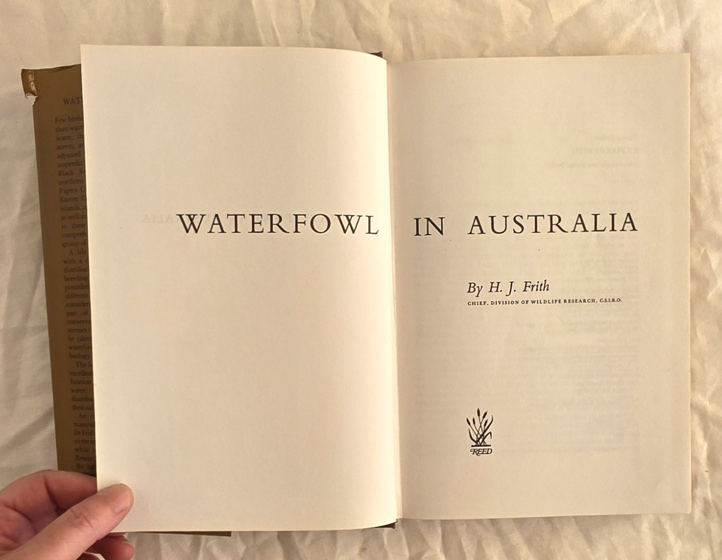 Waterfowl in Australia by H. J. Firth