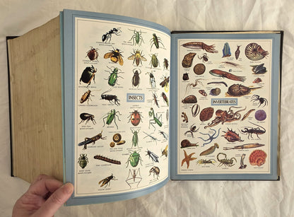 Webster’s New Twentieth Century Dictionary of the English Language by Noah Webster and Jean L. McKechnie