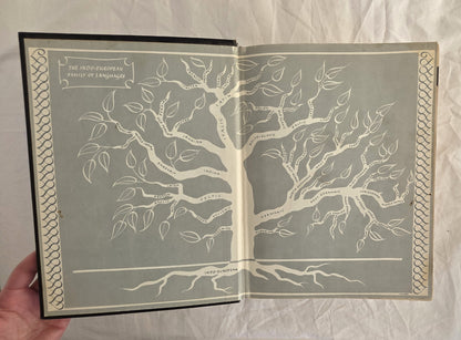 Webster’s New Twentieth Century Dictionary of the English Language by Noah Webster and Jean L. McKechnie