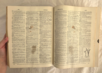 Webster’s New Twentieth Century Dictionary of the English Language by Noah Webster and Jean L. McKechnie