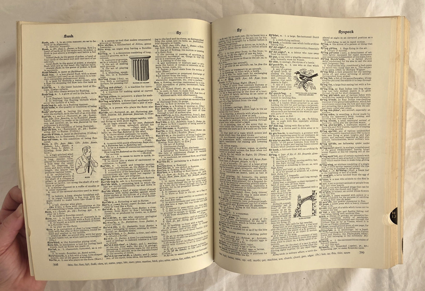 Webster’s New Twentieth Century Dictionary of the English Language by Noah Webster and Jean L. McKechnie