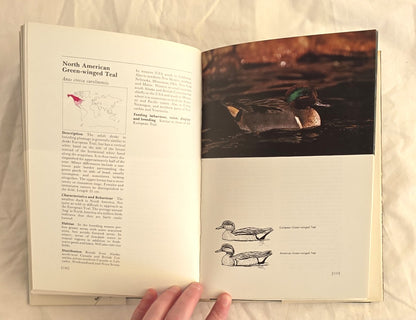 Wildfowl of the World by Eric Soothill and Peter Whitehead