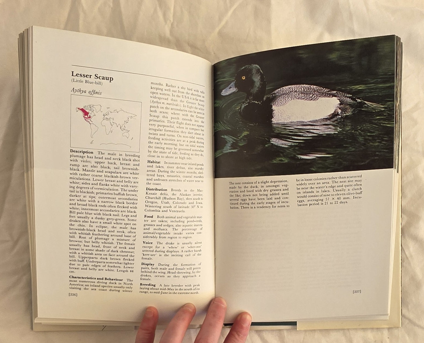 Wildfowl of the World by Eric Soothill and Peter Whitehead