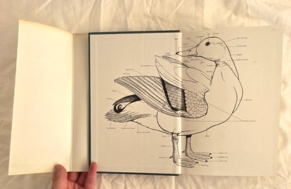 Wildfowl of the World by Eric Soothill and Peter Whitehead