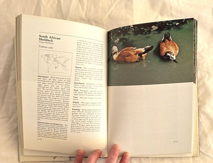 Wildfowl of the World by Eric Soothill and Peter Whitehead