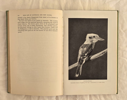 Wild Life of Australia and New Guinea by Charles Barrett