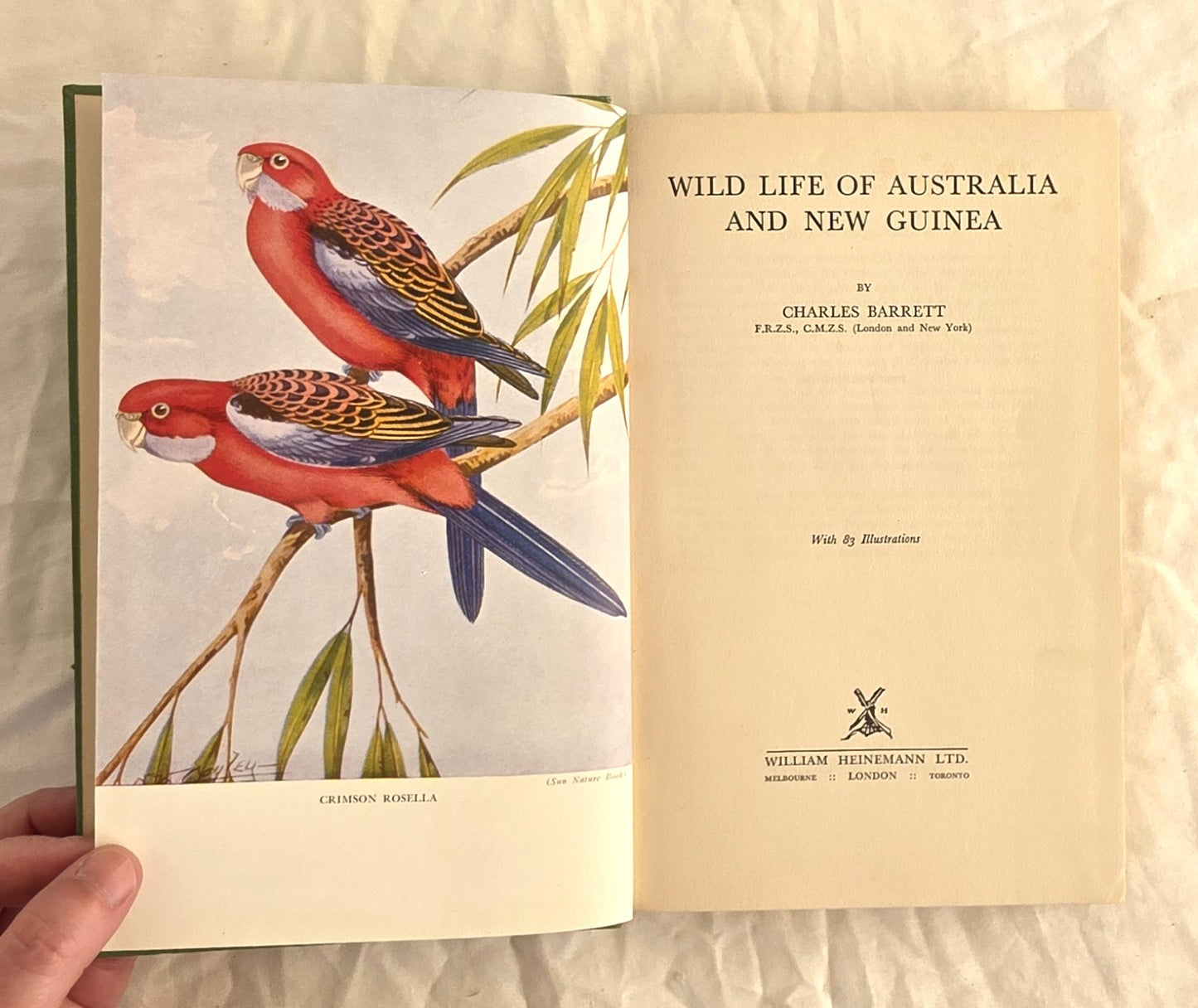 Wild Life of Australia and New Guinea by Charles Barrett