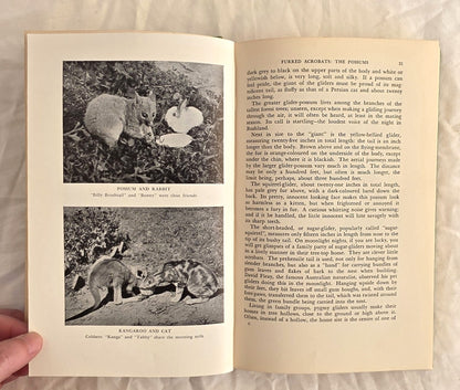 Wild Life of Australia and New Guinea by Charles Barrett