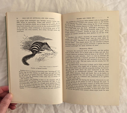 Wild Life of Australia and New Guinea by Charles Barrett