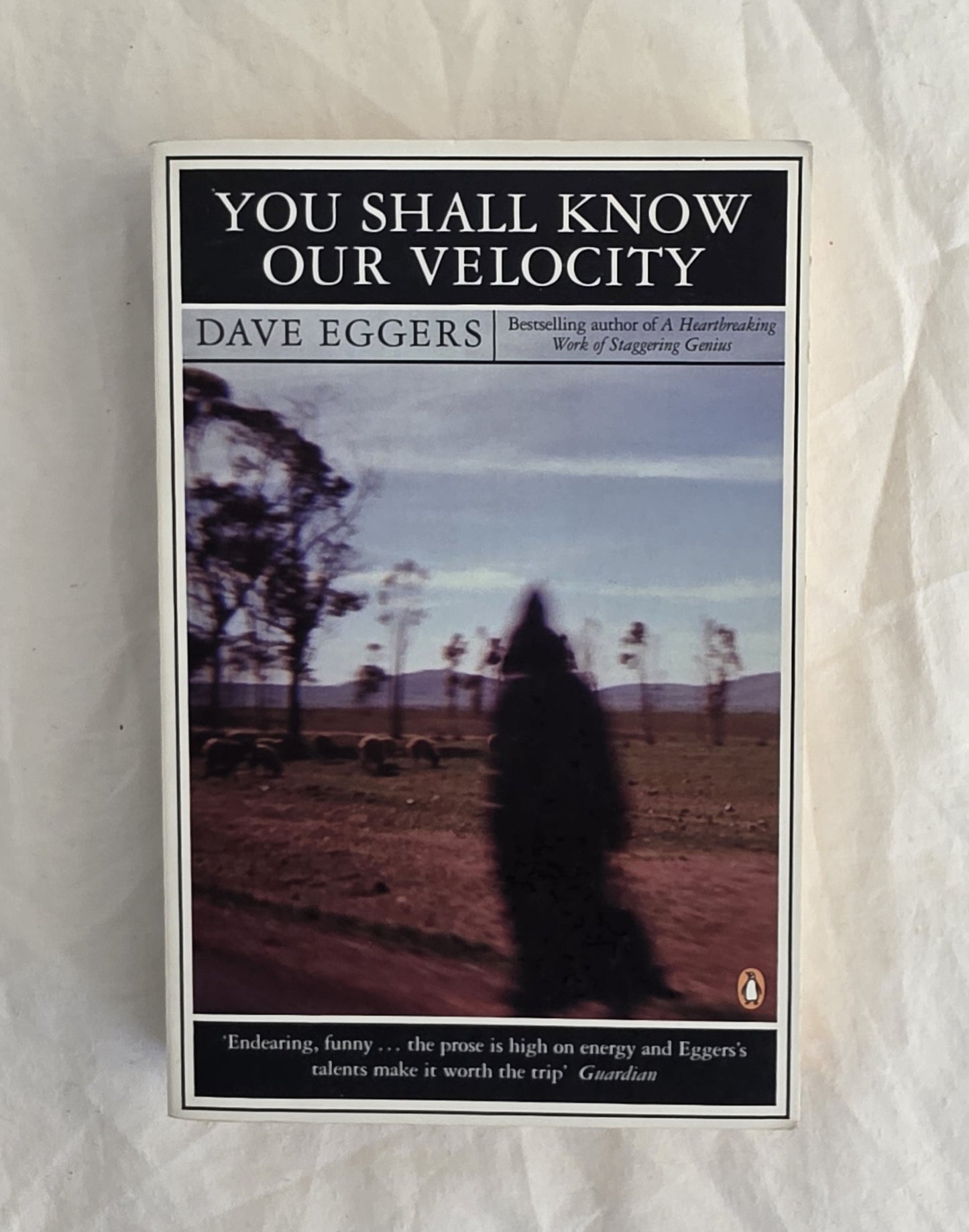 Book cover of 'You Shall Know Our Velocity' by Dave Eggers on a textured white background