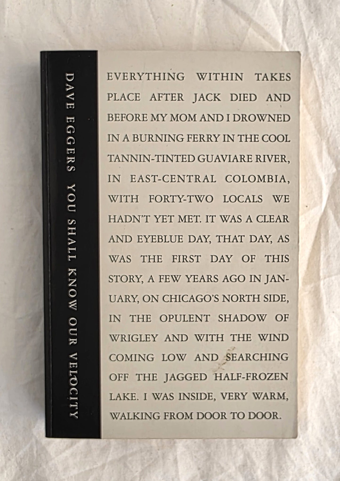 Book titled 'You Shall Know Our Velocity' by Dave Eggers on a textured surface