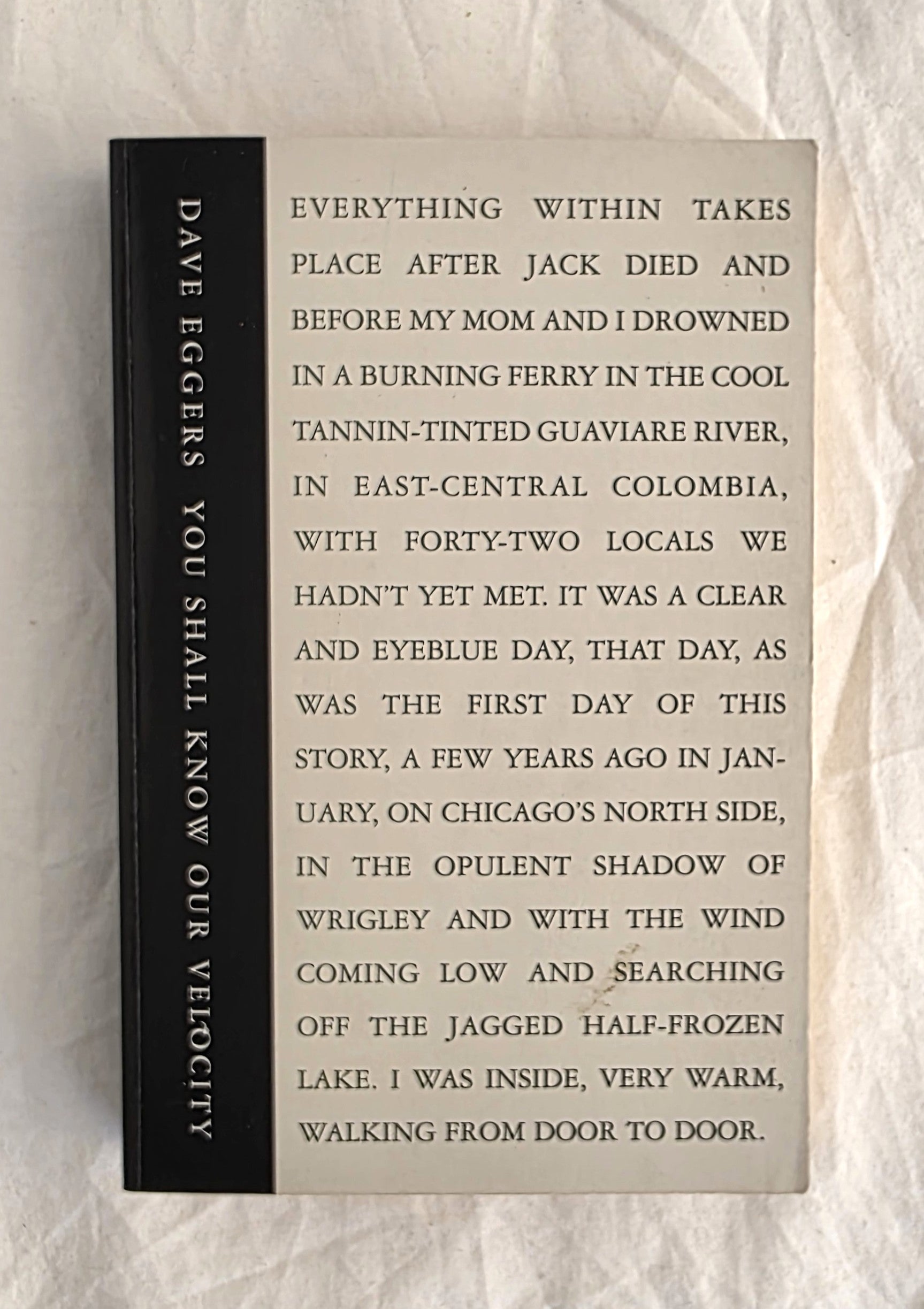 Book titled 'You Shall Know Our Velocity' by Dave Eggers on a textured surface