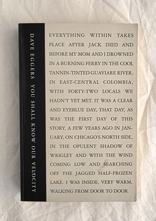 Book titled 'You Shall Know Our Velocity' by Dave Eggers on a textured surface