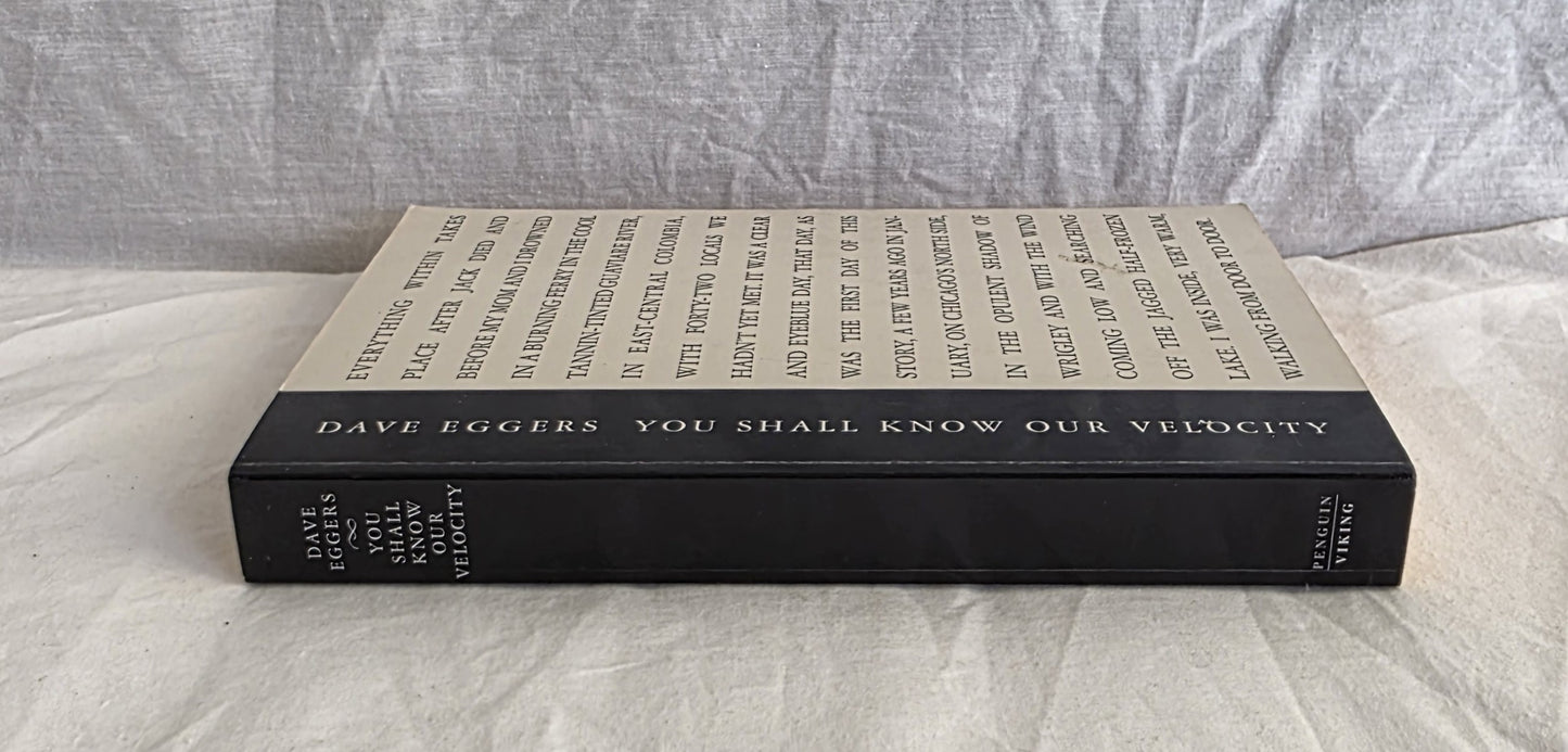 You Shall Know Our Velocity by Dave Eggers (c format)