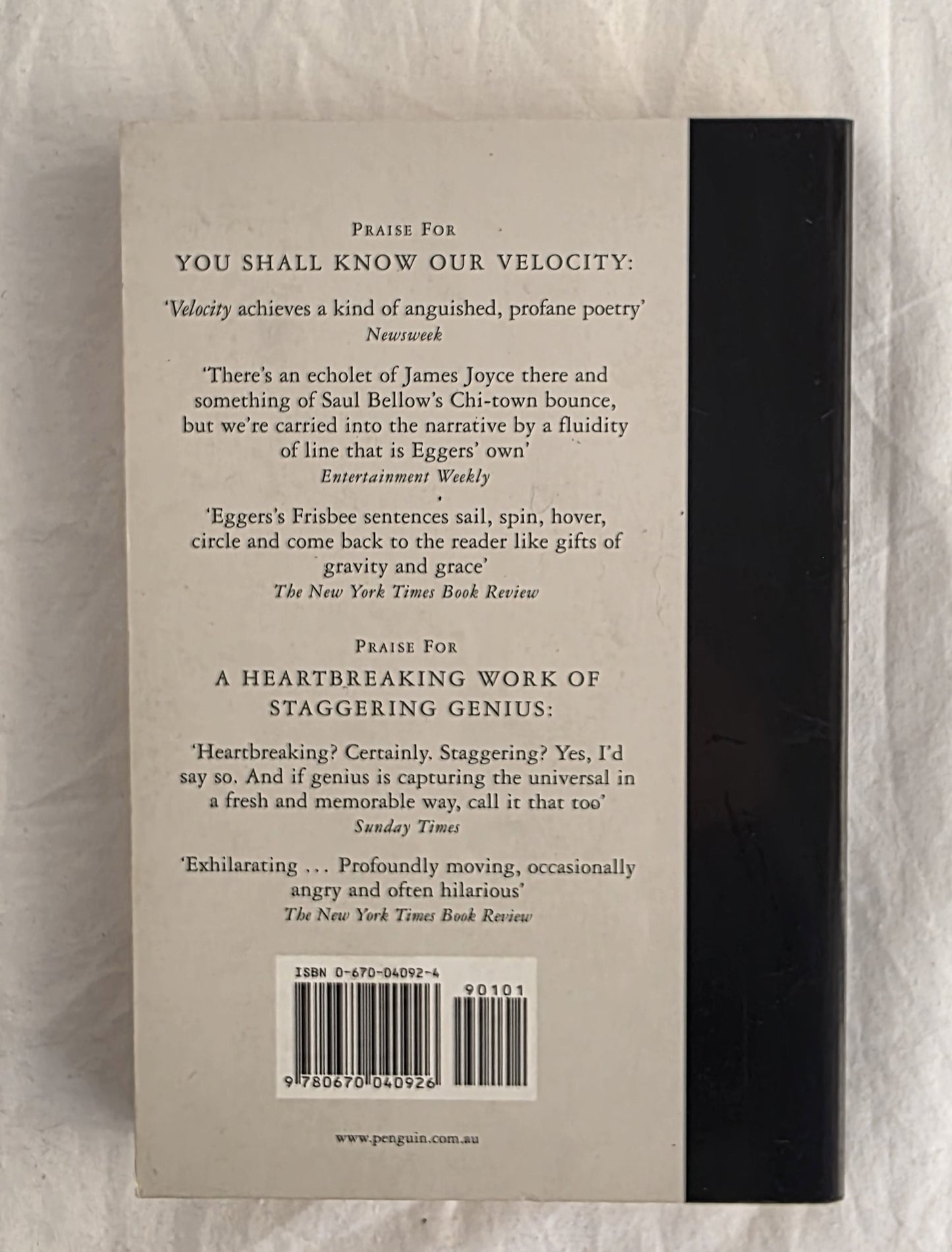 You Shall Know Our Velocity by Dave Eggers (c format)