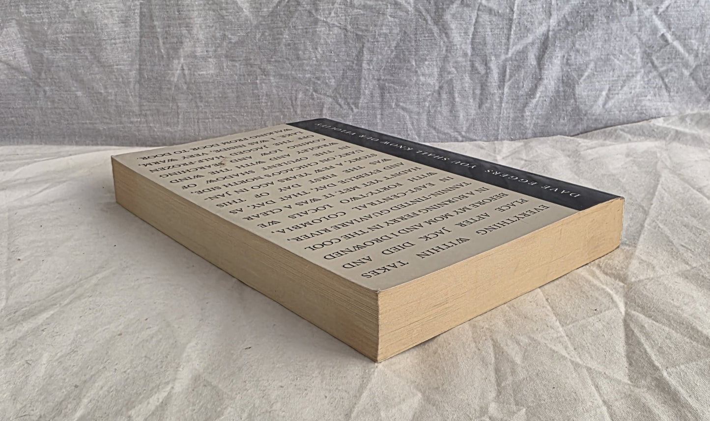 You Shall Know Our Velocity by Dave Eggers (c format)