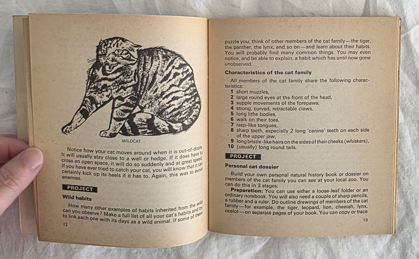 You and Your Cat by Nick Henderson