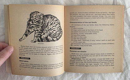 You and Your Cat by Nick Henderson