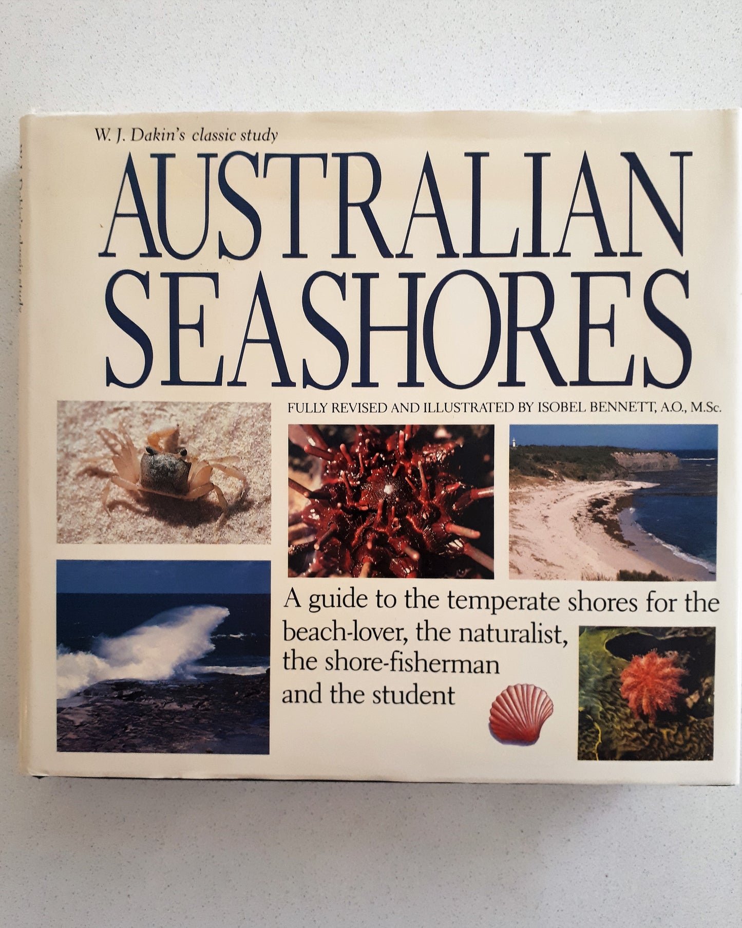 W.J. Dakin's Australian Seashores - Revised & Illustrated by Isobel Bennett