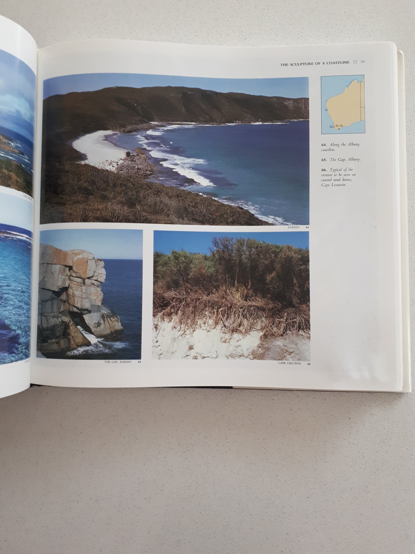 W.J. Dakin's Australian Seashores - Revised & Illustrated by Isobel Bennett
