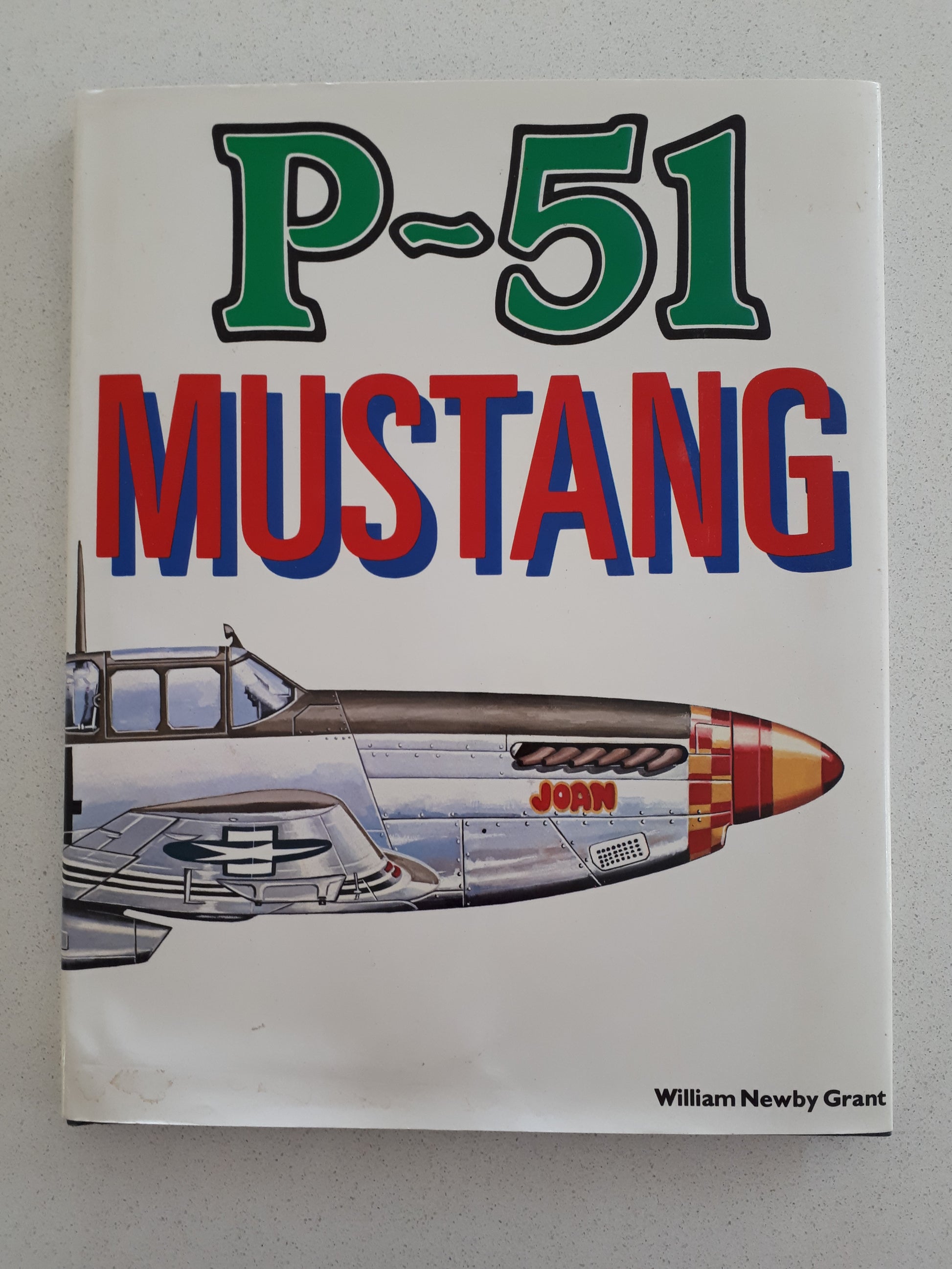 P-51 Mustang  by William Newby Grant