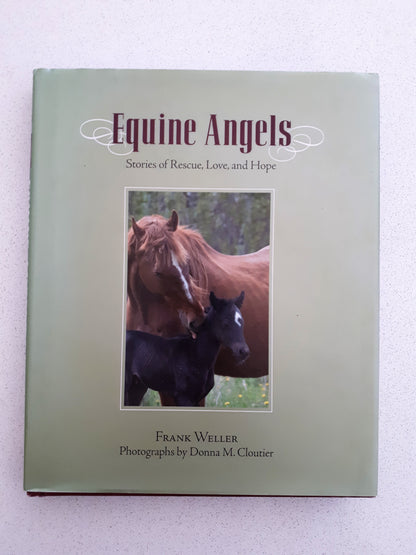 Equine Angels by Frank Weller