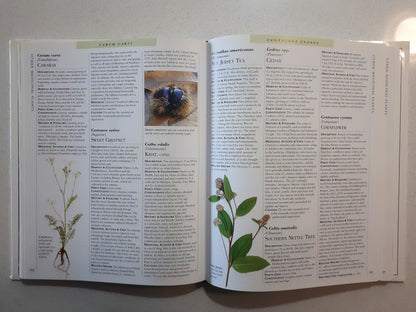 The Encyclopedia of Medicinal Plants by Andrew Chevallier