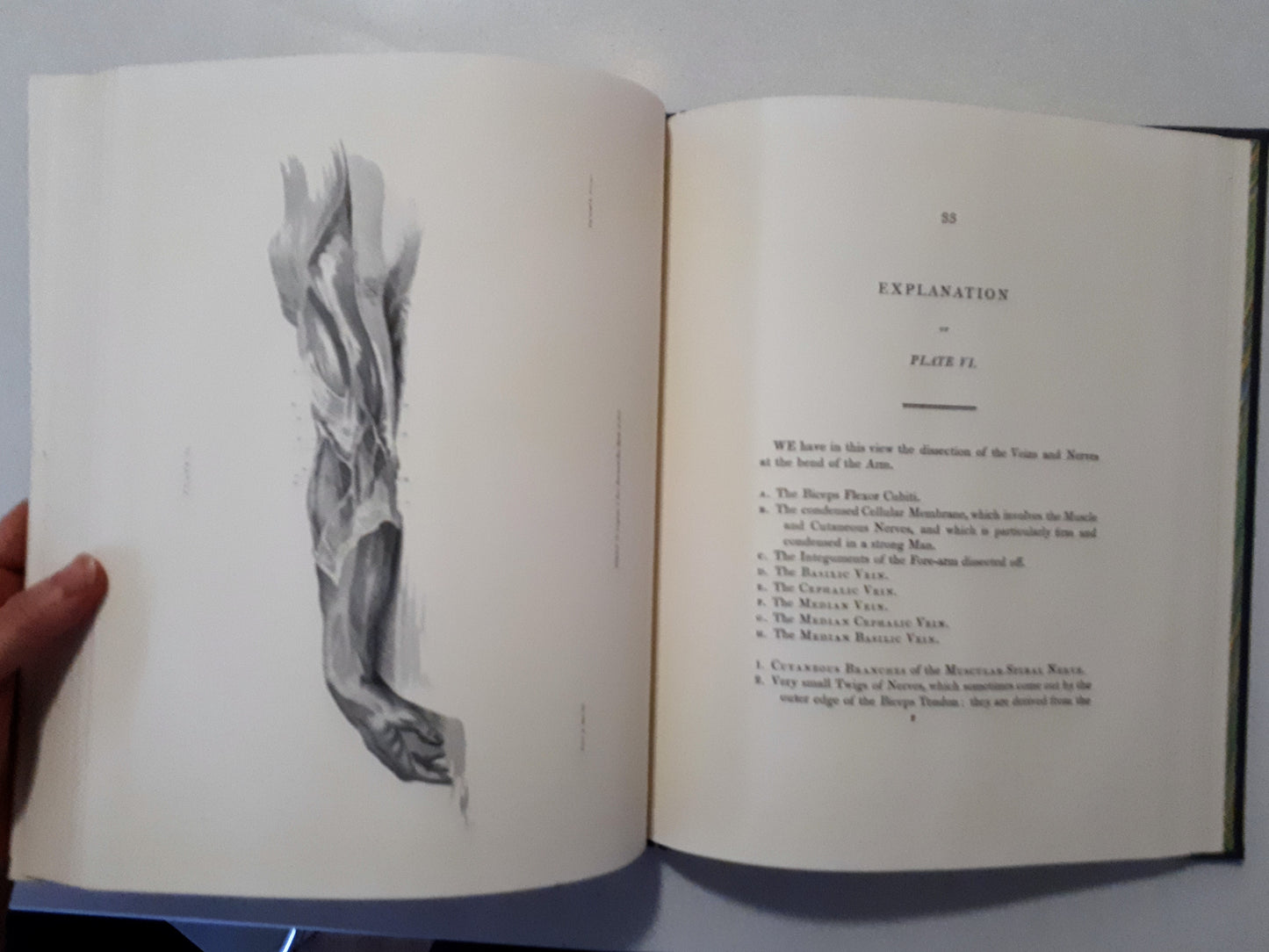 Engravings of the Brain and Nerves by Sir Charles Bell