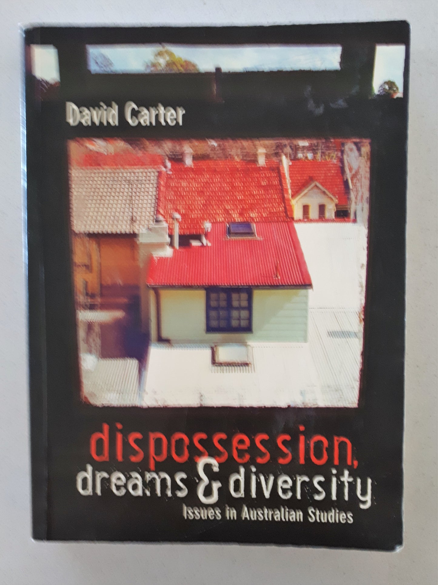 Dispossession, Dreams & Diversity by David Carter