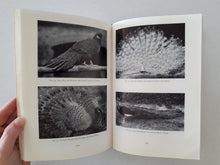 Load image into Gallery viewer, Pheasants Including Their Care in the Aviary by H. A. Gerrits