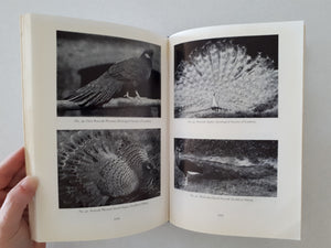 Pheasants Including Their Care in the Aviary by H. A. Gerrits