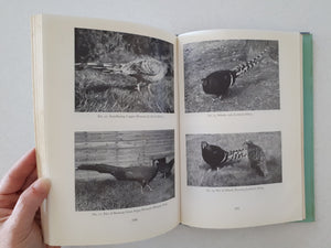 Pheasants Including Their Care in the Aviary by H. A. Gerrits