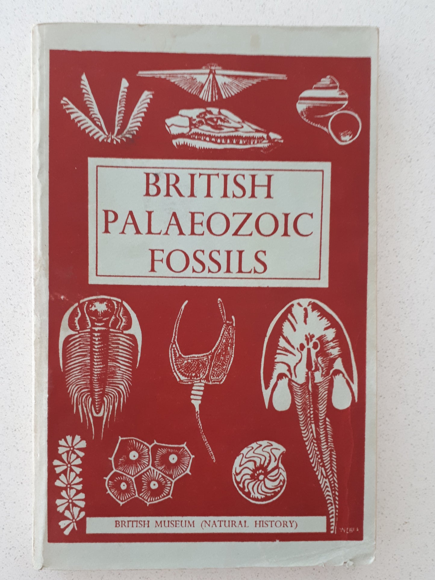 British Palaeozoic Fossils by The Natural History Museum