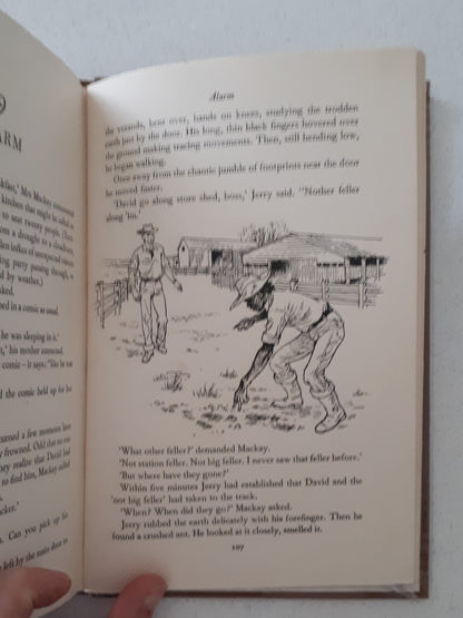 Doctor With Wings by Allan Aldous