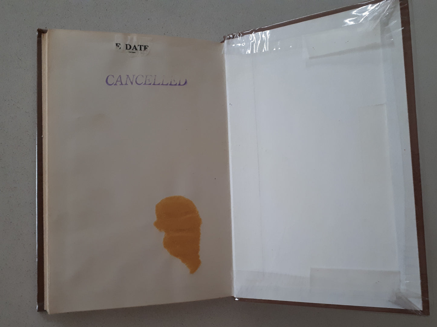 Doctor With Wings by Allan Aldous