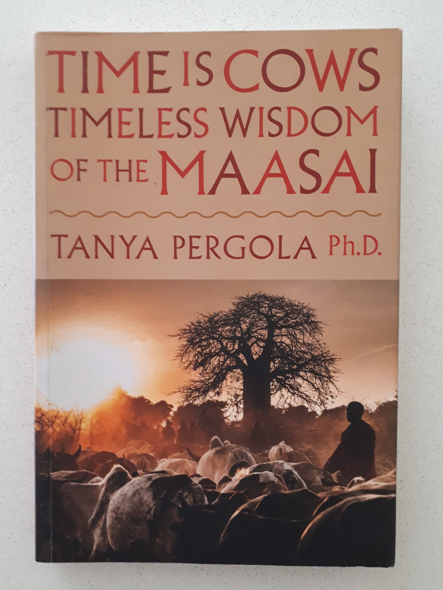 Time Is Cows Timeless Wisdom Of The Maasai by Tanya Pergola