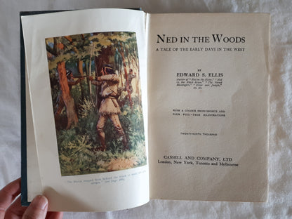 Ned In The Woods by Edward S. Ellis