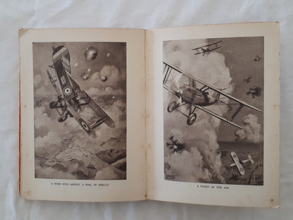 The Aircraft Picture Book