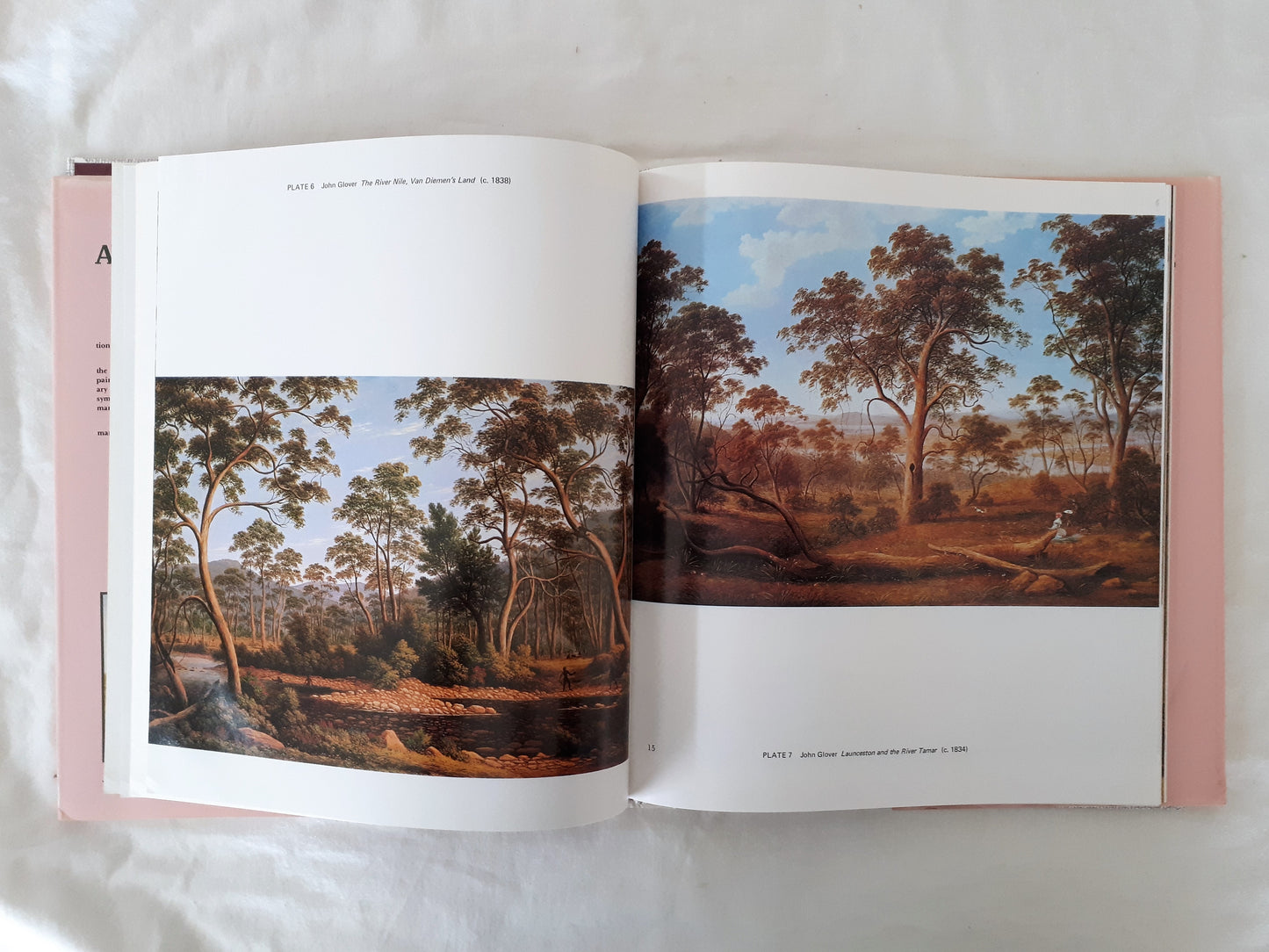 A Treasury of Australian Bush Painting by Susan Bruce