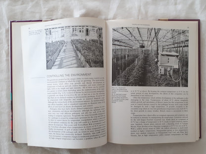Diseases of Greenhouse Plants by J. T. Fletcher