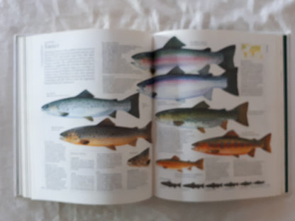 The Encyclopedia of Fishing a Dorling Kindersely Book