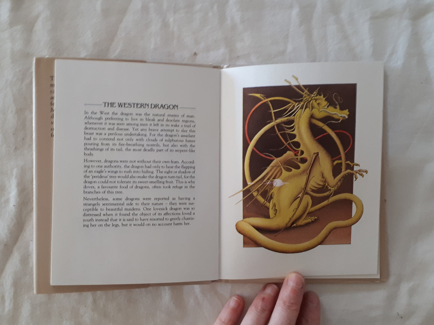 Mythical Beasts by Deirdre Headon