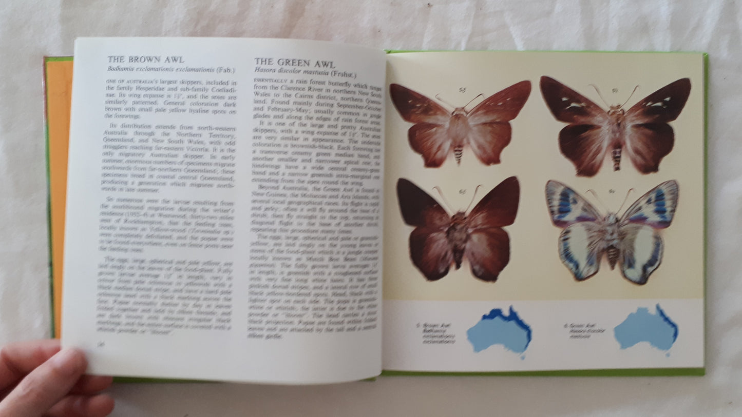 Australian Butterflies in Colour by Alexander Burns & E. R. Rotherham