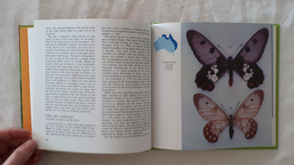 Australian Butterflies in Colour by Alexander Burns & E. R. Rotherham