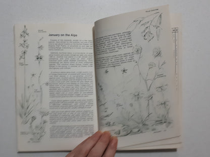 Wildflower Diary by Winifred Waddell