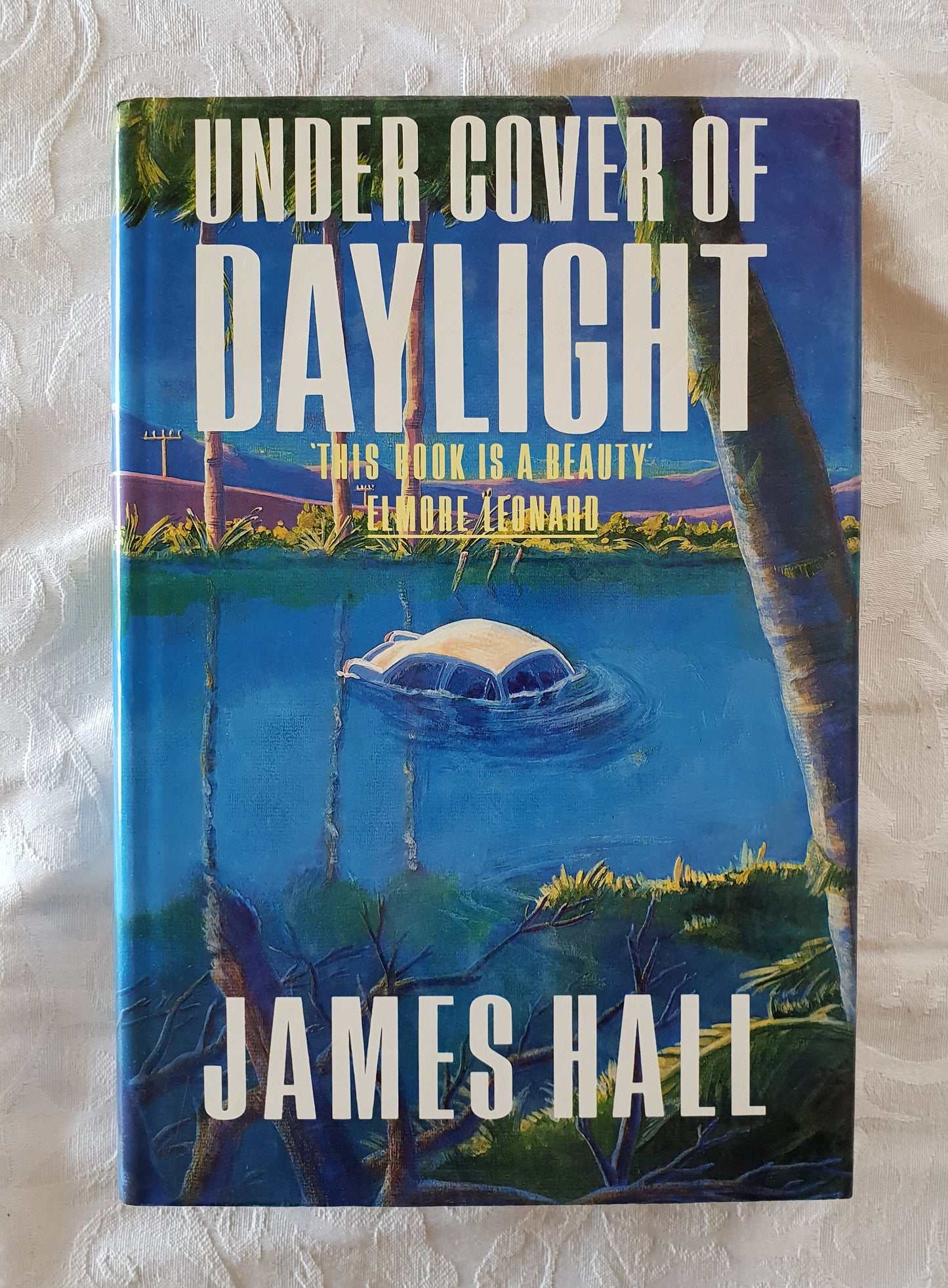 Under Cover of Daylight by James Hall
