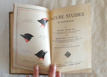 Nature Studies in Australia by William Gillies and Robert Hall