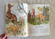 Load image into Gallery viewer, The Wonderful World&#39;s of Walt Disney America by The Walt Disney Studio
